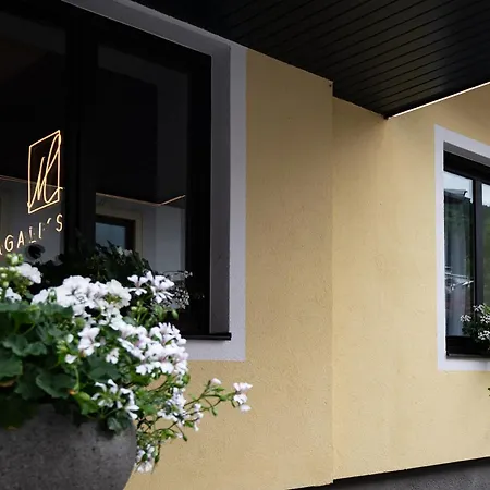 Konukevi Magali's, - Inclusive Summer Card Zell am See