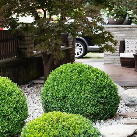 Gasthof Magali's, - Inclusive Summer Card Zell am See